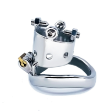 Load image into Gallery viewer, Painfully Obvious Chastity Cage