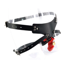 Load image into Gallery viewer, Silicone Chastity Belt