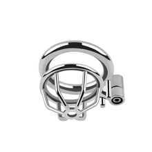 Load image into Gallery viewer, Screwed In Micro Chastity Cage