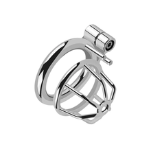 Load image into Gallery viewer, Screwed In Micro Chastity Cage
